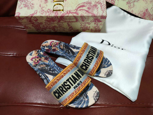 Dior slides