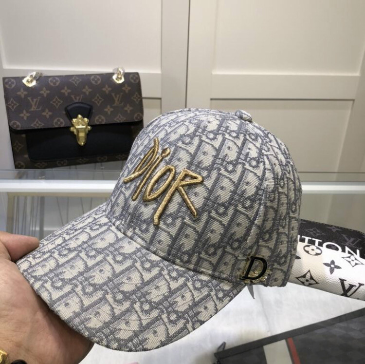 Dior Cap Gray