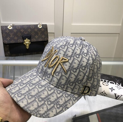 Dior Cap Gray