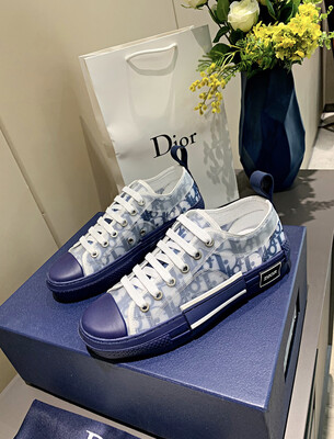 Dior Lowtops