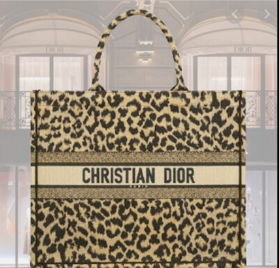 Dior Book Tote