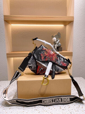 Dior Satchel