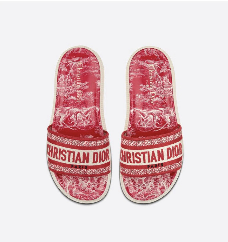 Dior Shoes