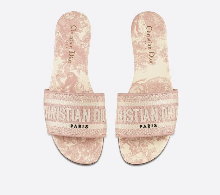 Dior slides