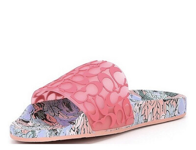 Coach Slides