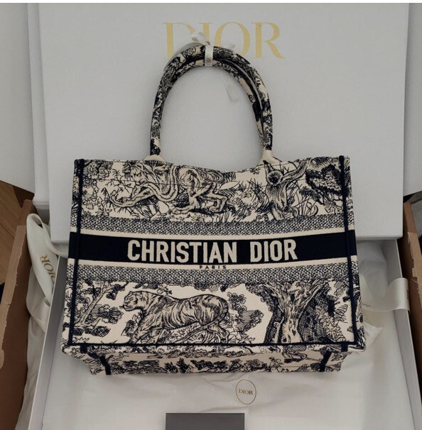 Dior Book Tote