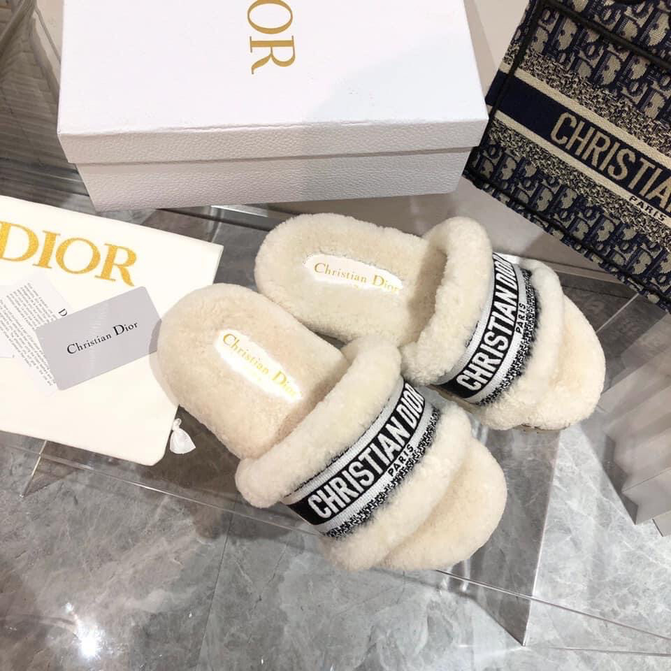 Dior Slides
