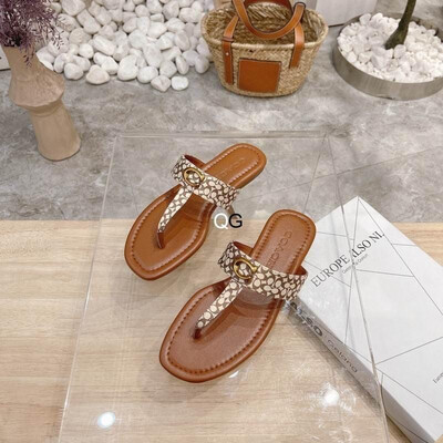 Coach Slides