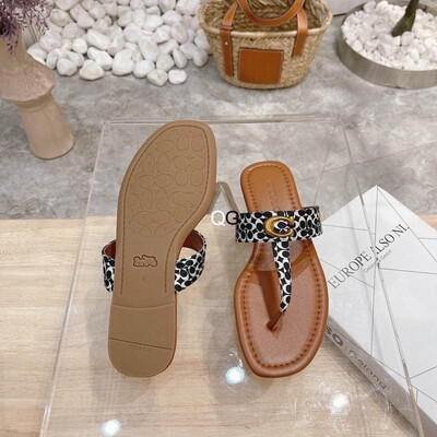 Coach Slides