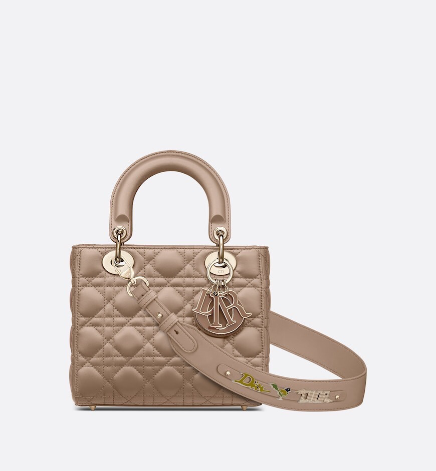 Dior Bag