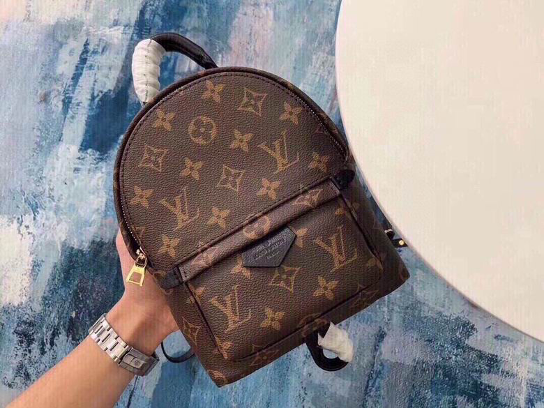 LV Backpack
