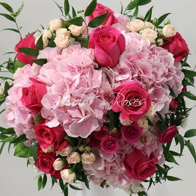 Roses &amp; Hortensia