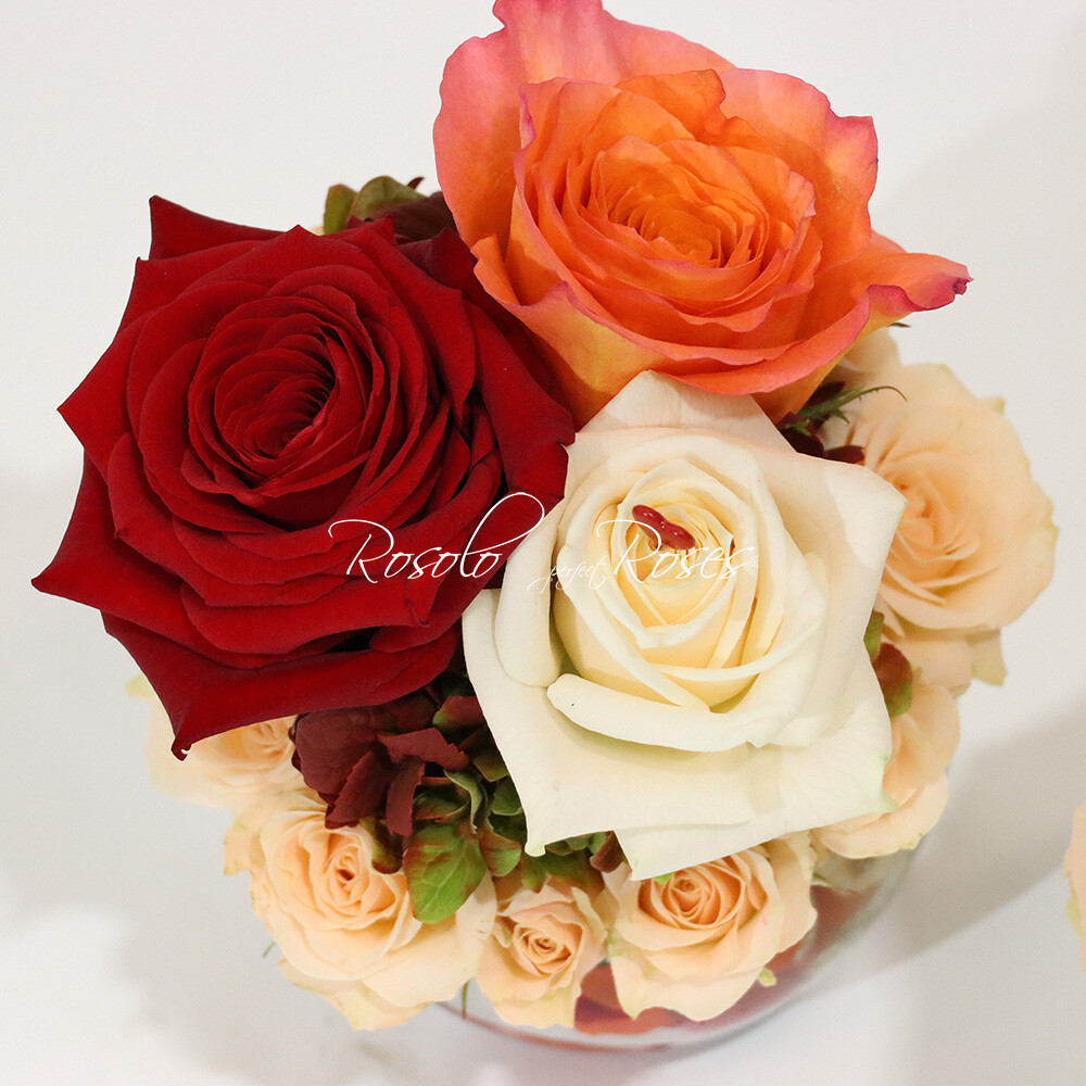 3 grandes roses, dans une belle coupe