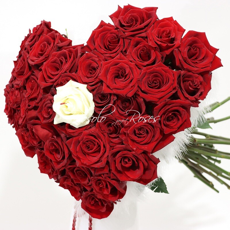 Bouquet de roses rouge et plumes en forme de cœur