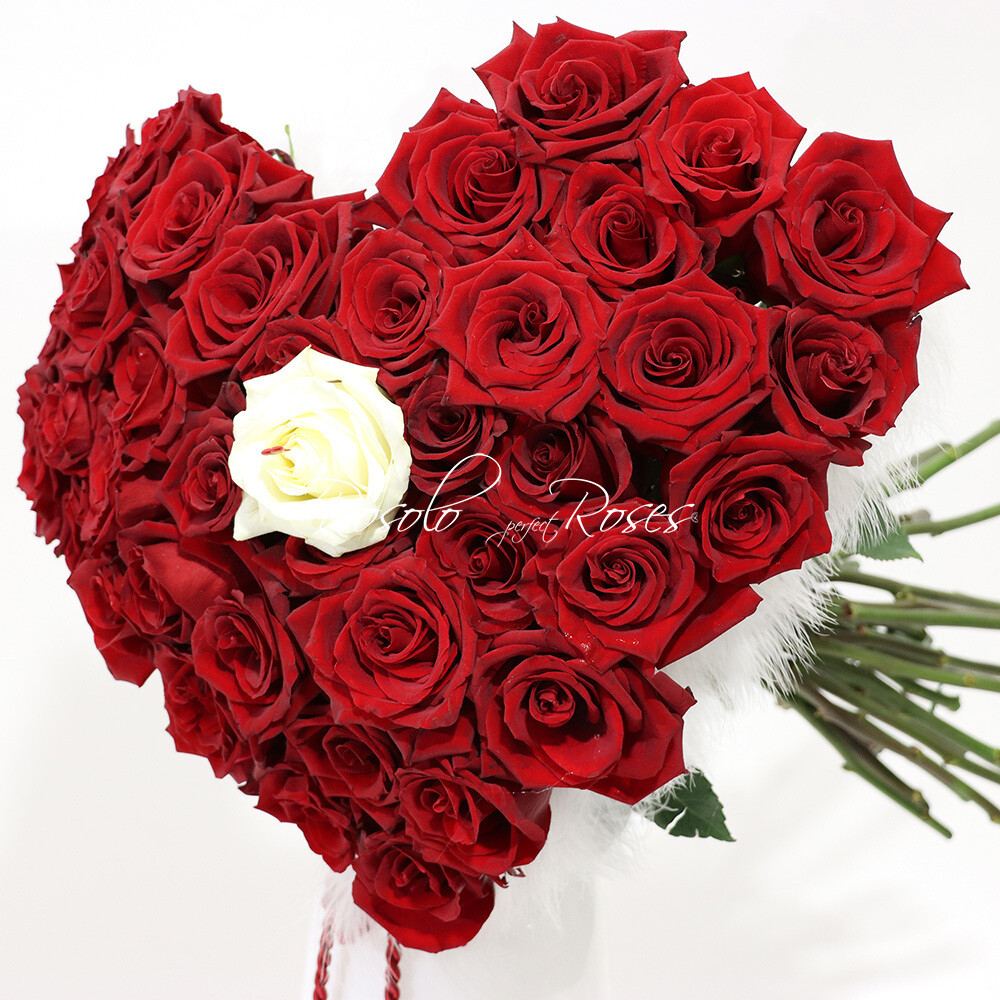 Bouquet de roses rouge et plumes en forme de cœur, Taille: 25 roses rouges