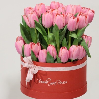 Superbe boite de tulipes, couleur rose