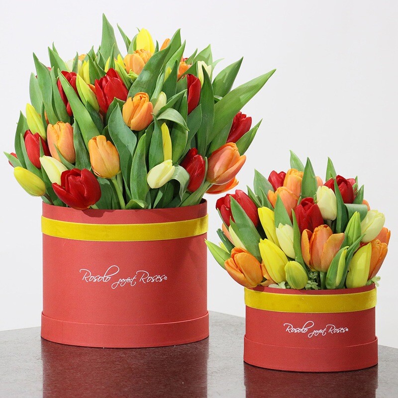 Belle boite de tulipes, couleurs vives