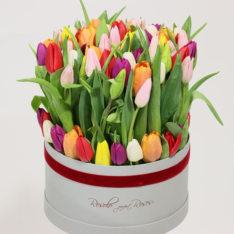 Belle boite de tulipes très colorées