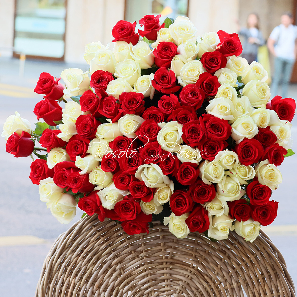 Belles roses rouges &amp; blanches