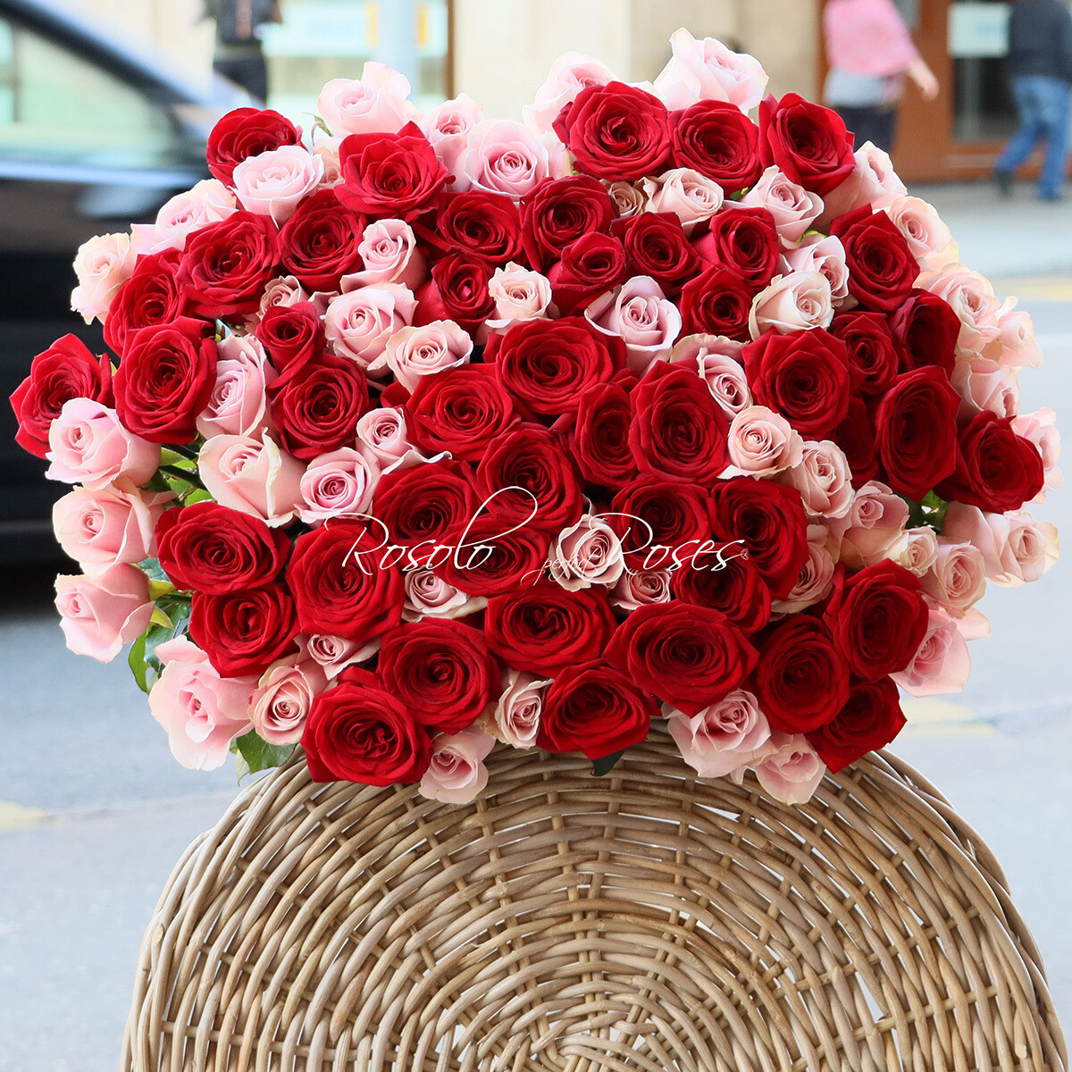 Belles roses rouges &amp; roses