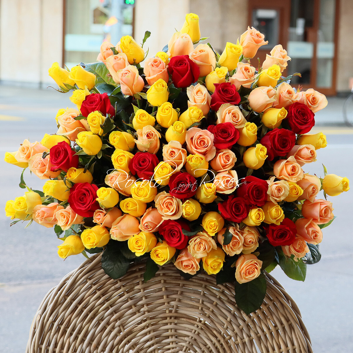 Belles roses colorées