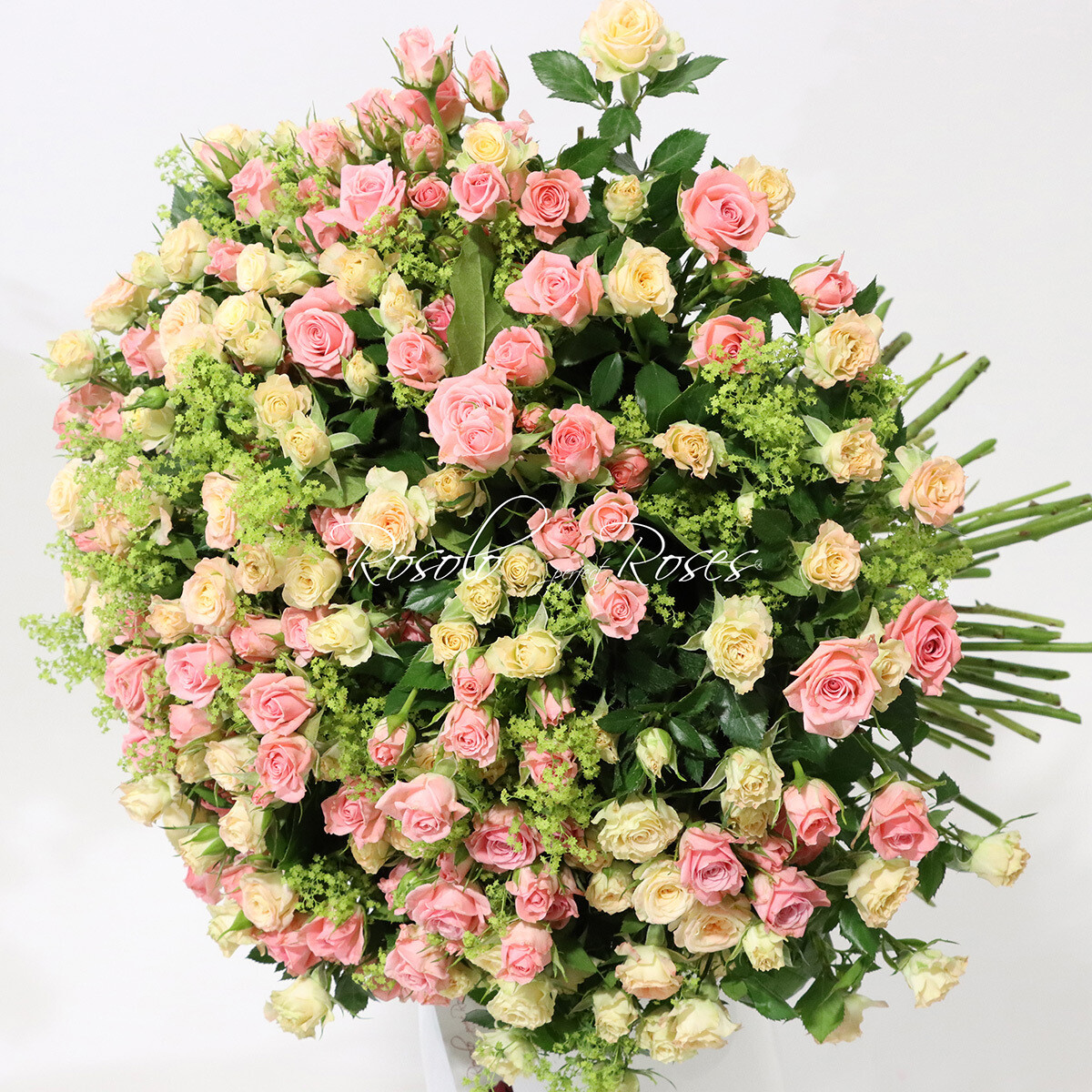 Bouquet de roses polyantha, couleurs douces