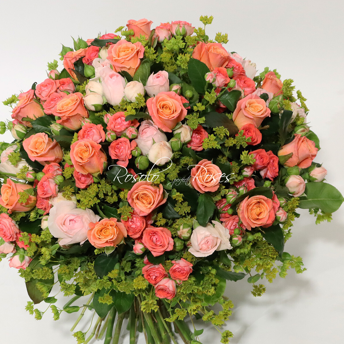 Roses &amp; Roses polyantha, saumon-rose