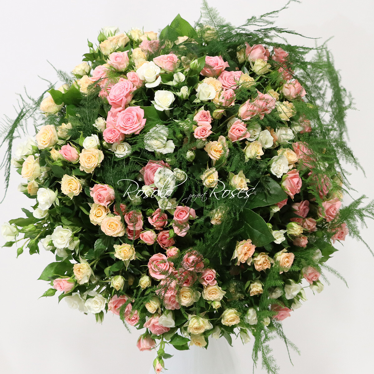 Roses branchues, verdure légère