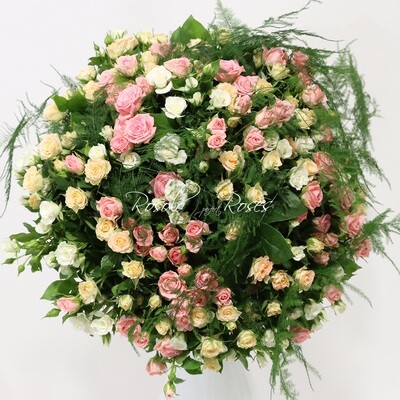 Roses branchues, verdure légère