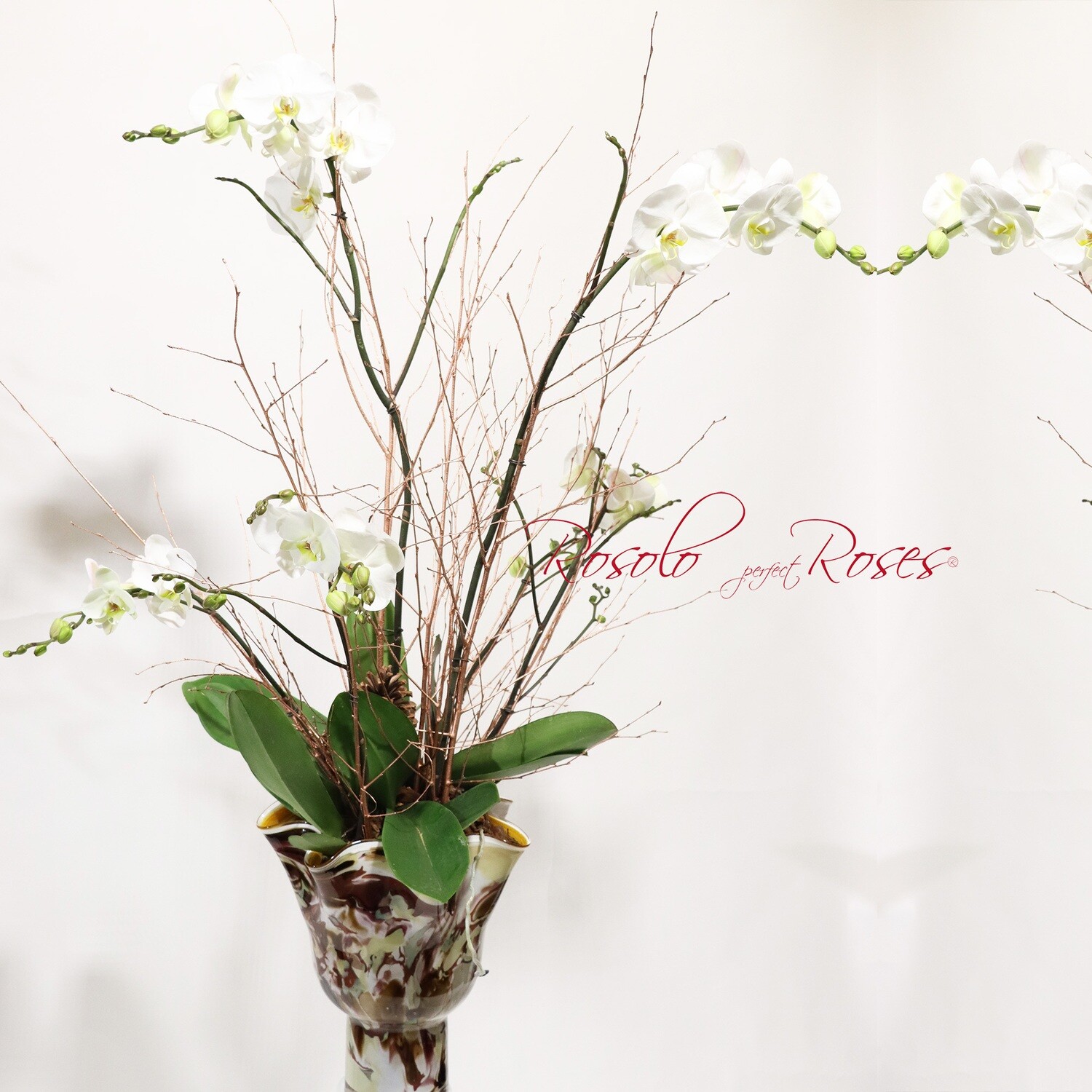Très grand arrangement de Phalaenopsis blanc dans un superbe pot en verre