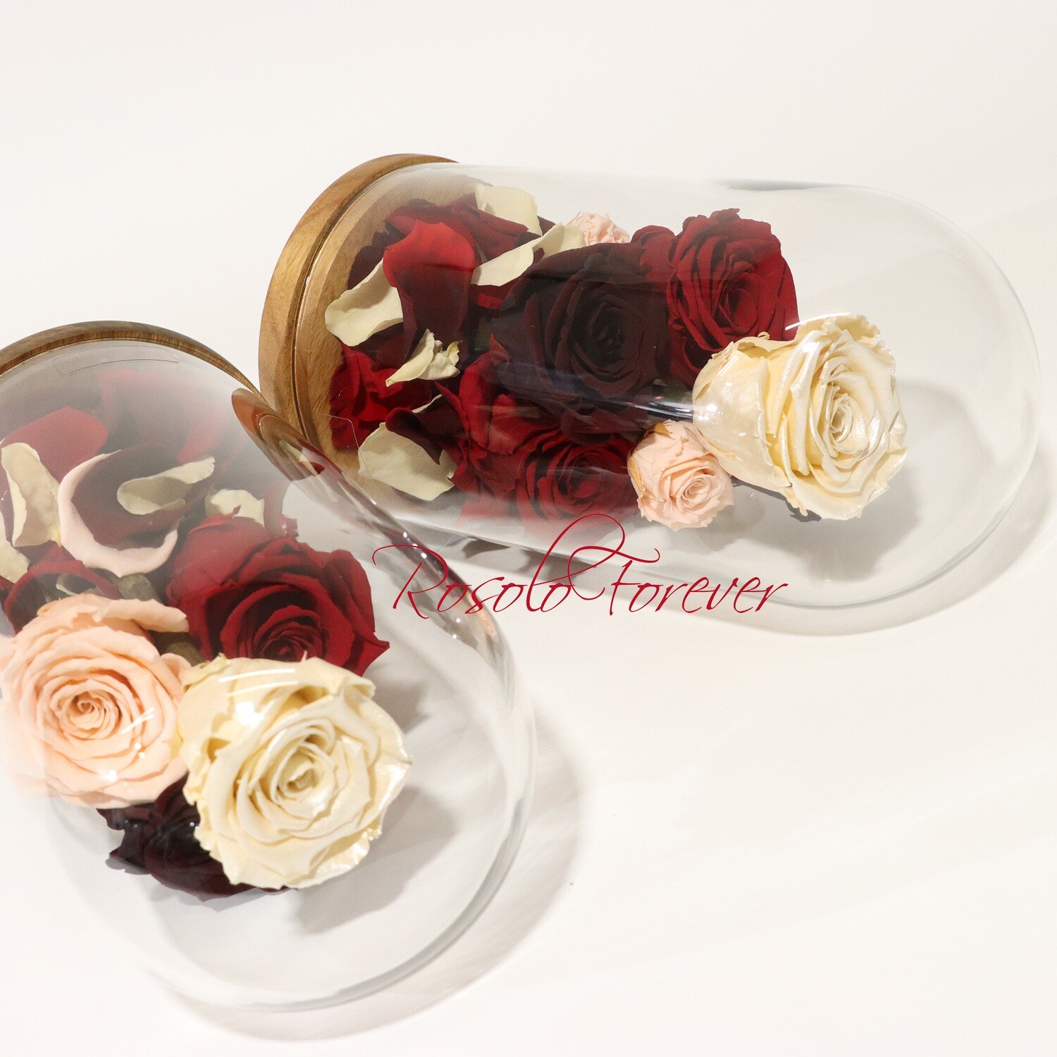 ROSOLO FOREVER:  7 roses en rouge, crème et saumon sous cloche