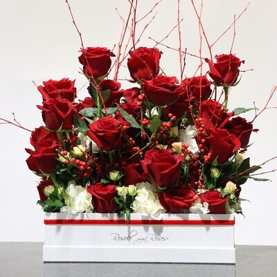 Boites rectangulaires