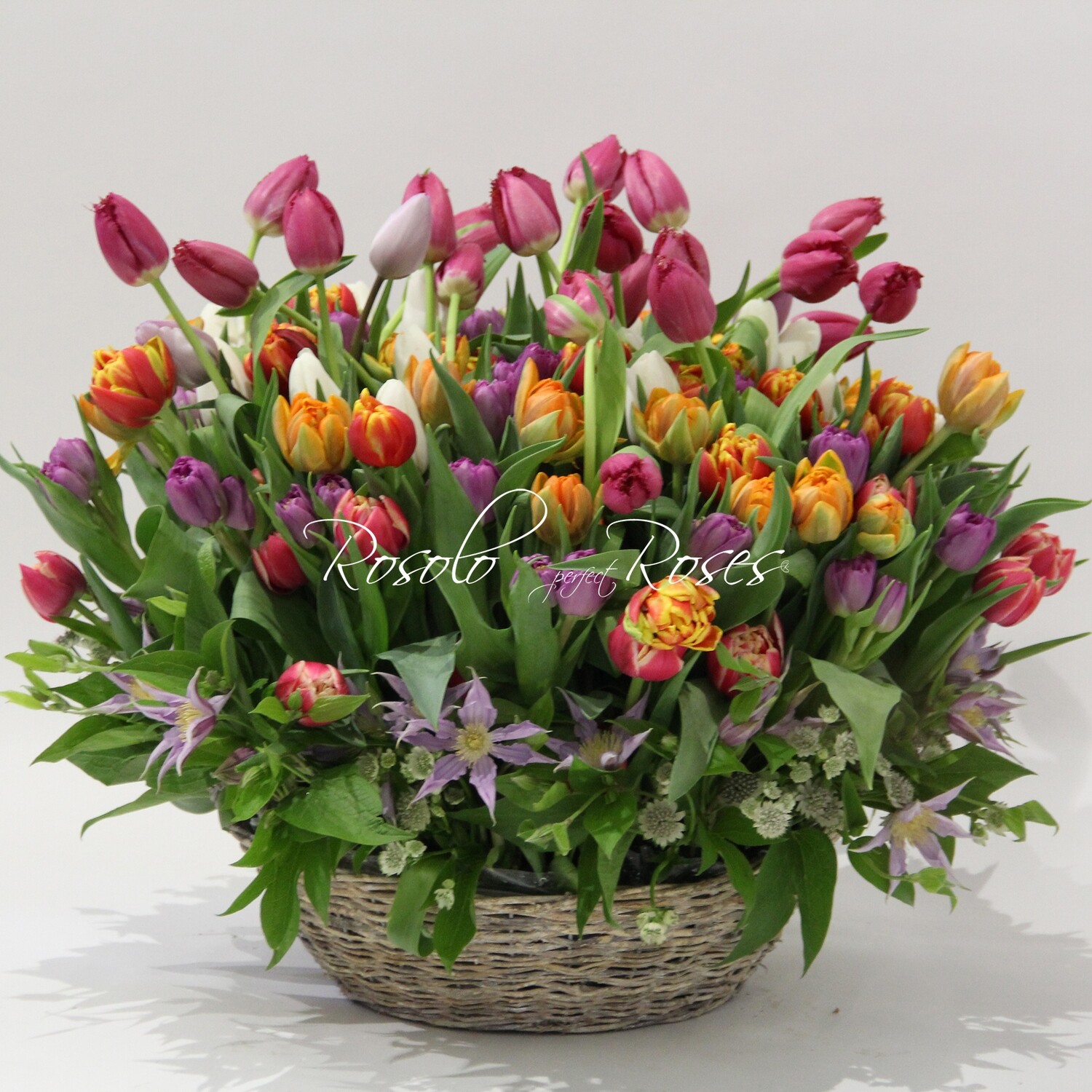 Beau panier de tulipes