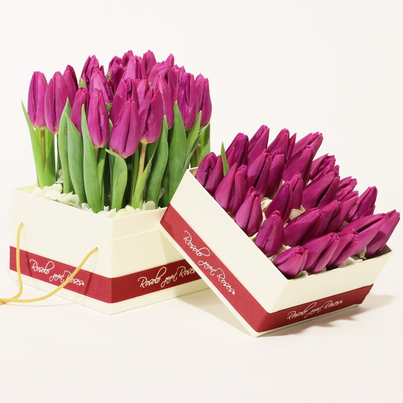 Boites, set 2x25 tulipes mauve