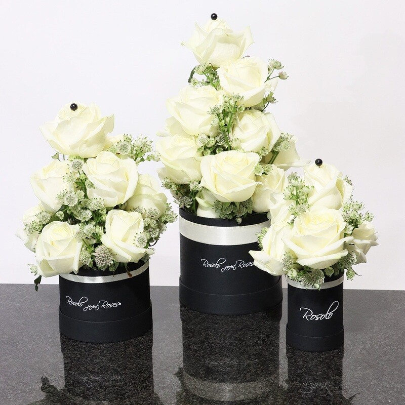 Belle boite de roses blanches