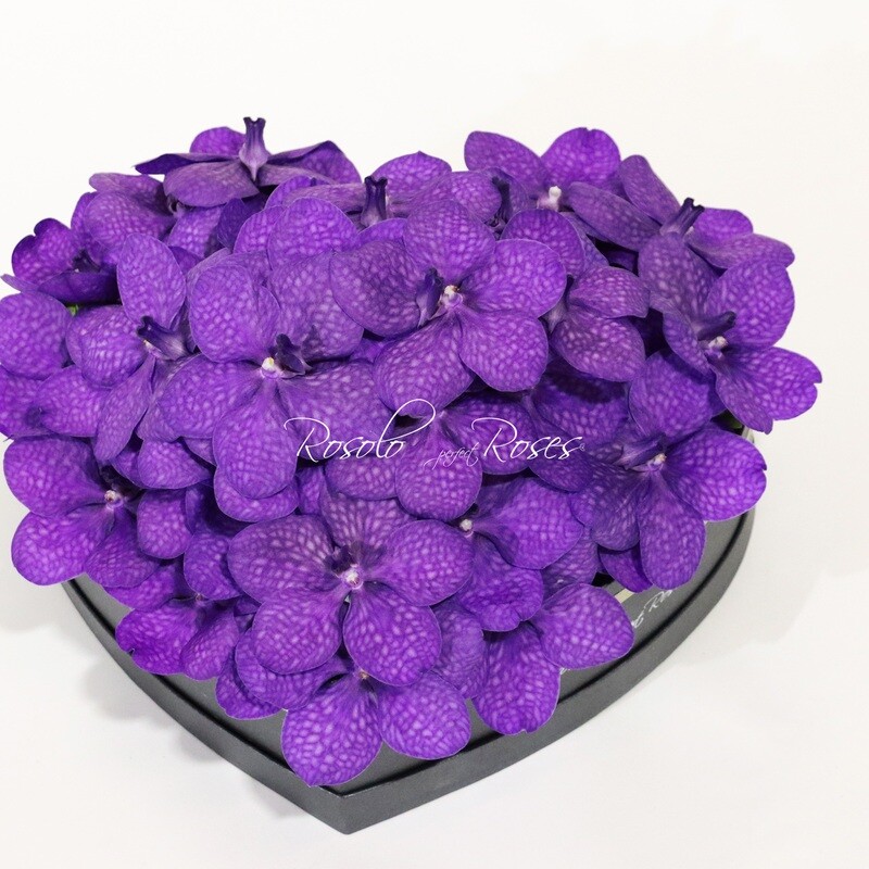 Orchidées Vanda, en mauve, dans une belle boite en forme de coeur