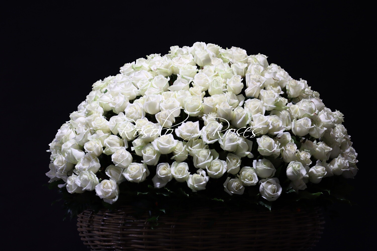 Grand panier de roses blanches
