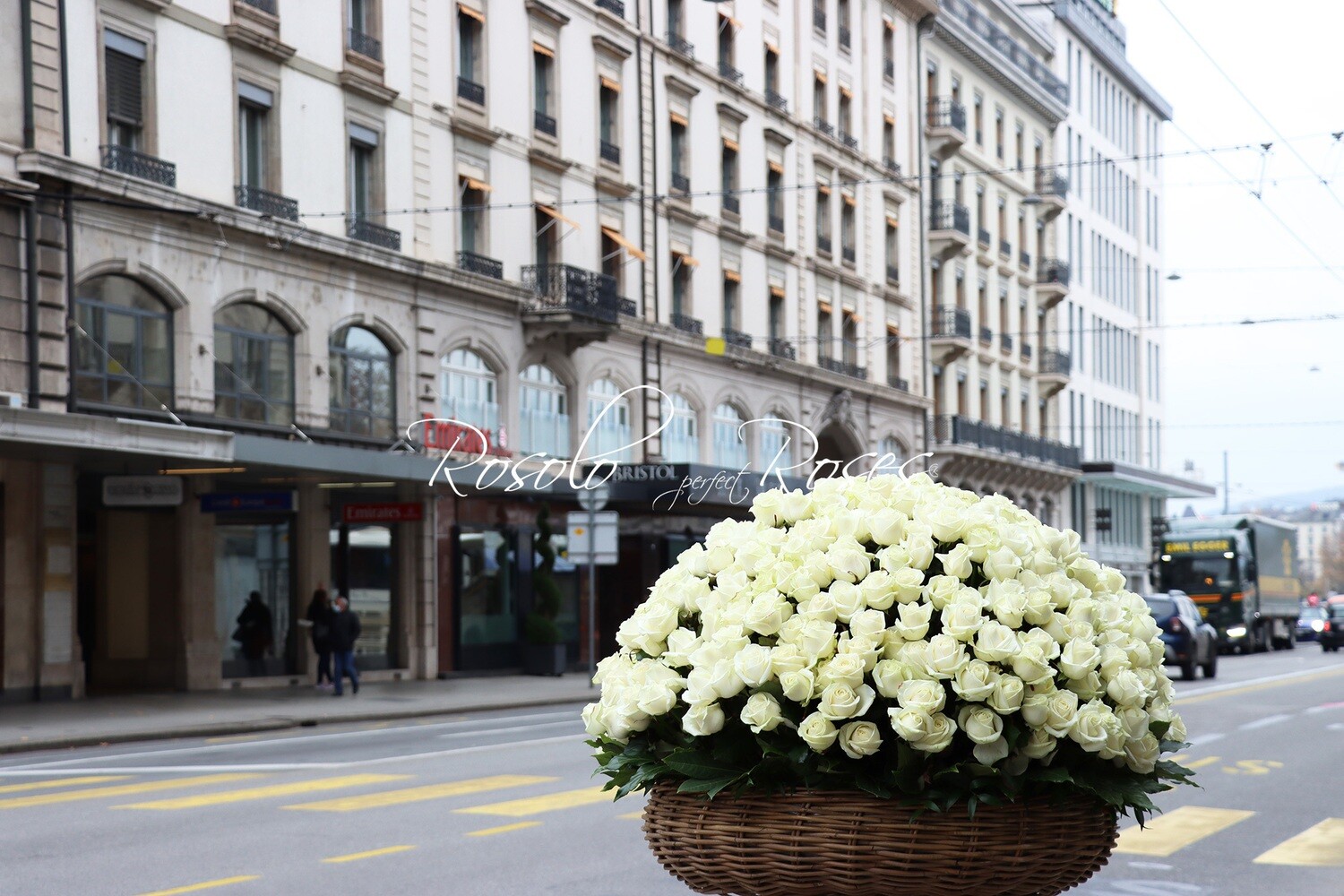 365 roses blanches dans un très grand panier