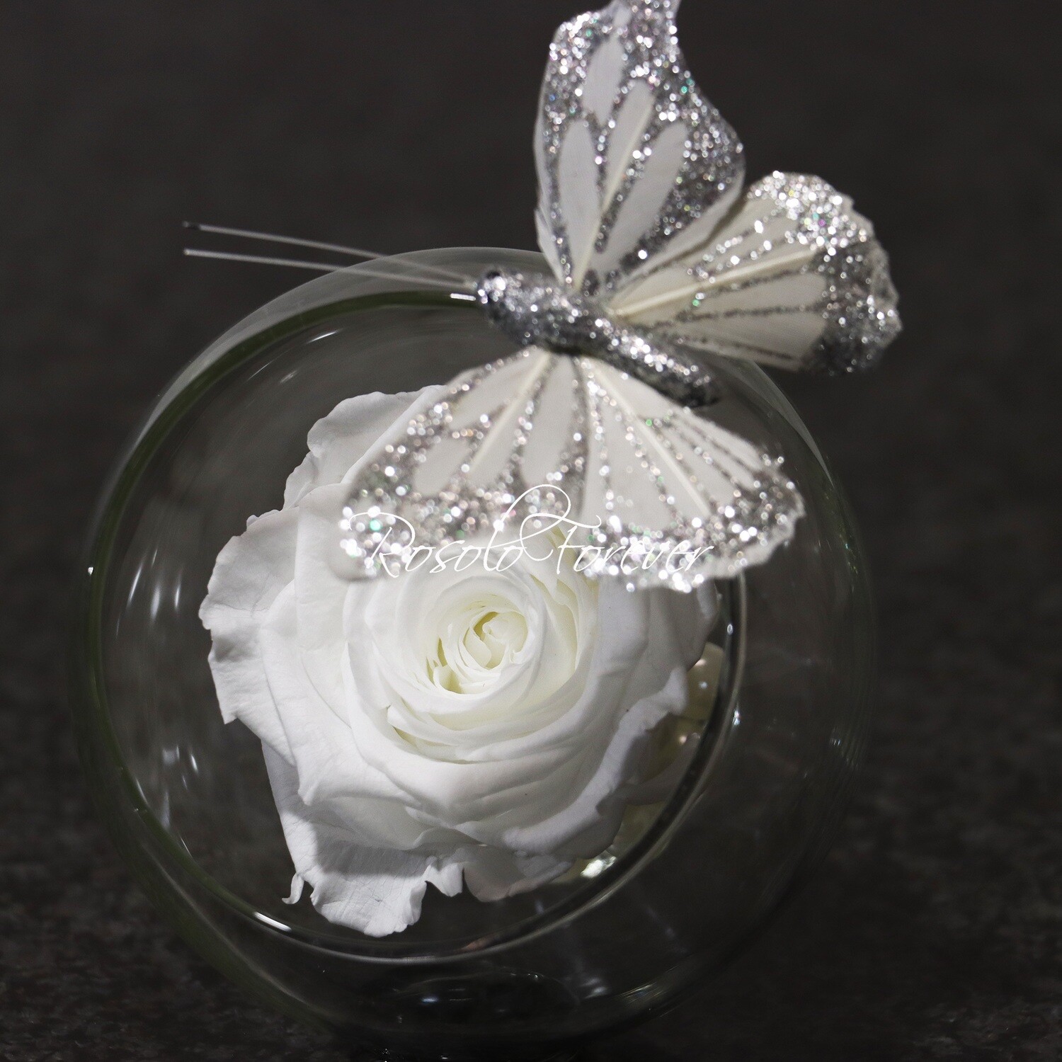 Une belle rose éternelle dans un vase boule