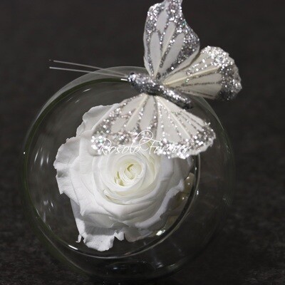 Une belle rose éternelle dans un vase boule