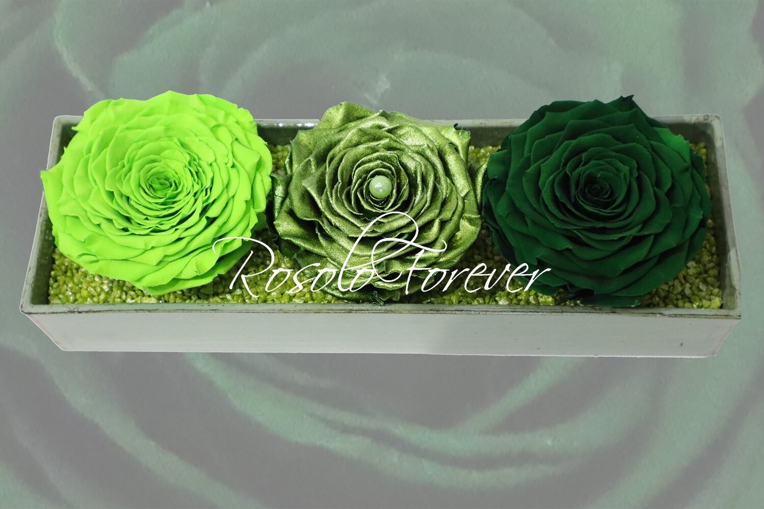 Arrangement de table, 3 roses XXL en vert