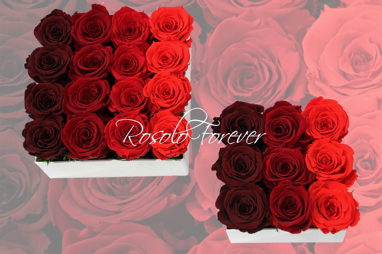 Arrangement de table, carré, dégradé en rouge