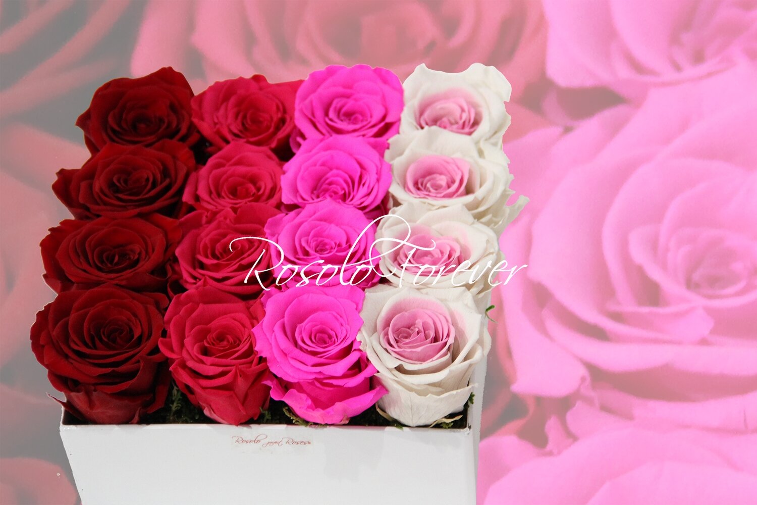 Arrangement de table, carré, en couleurs pastelles