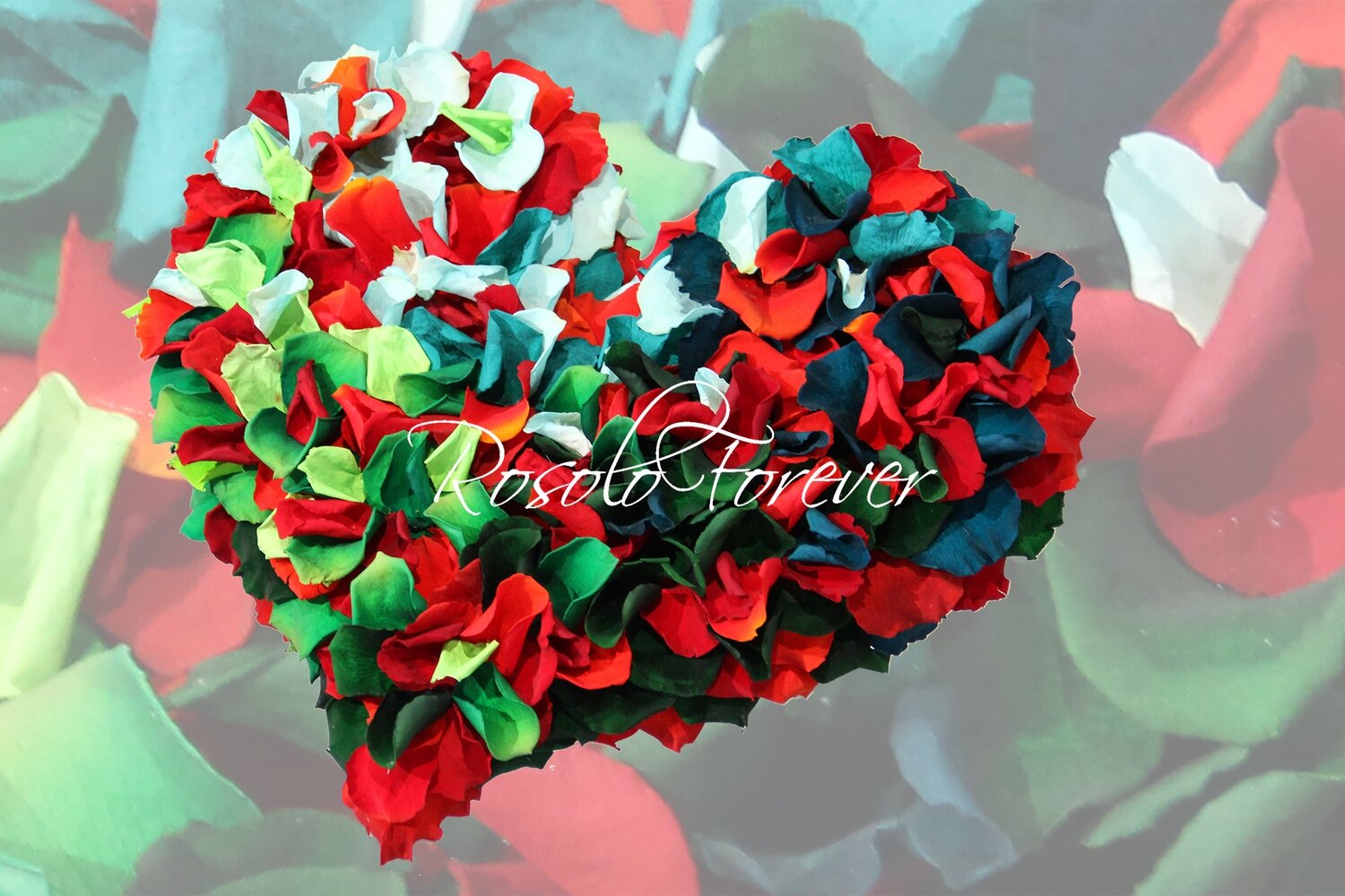 Beau cœur composé de centaines de pétales de roses