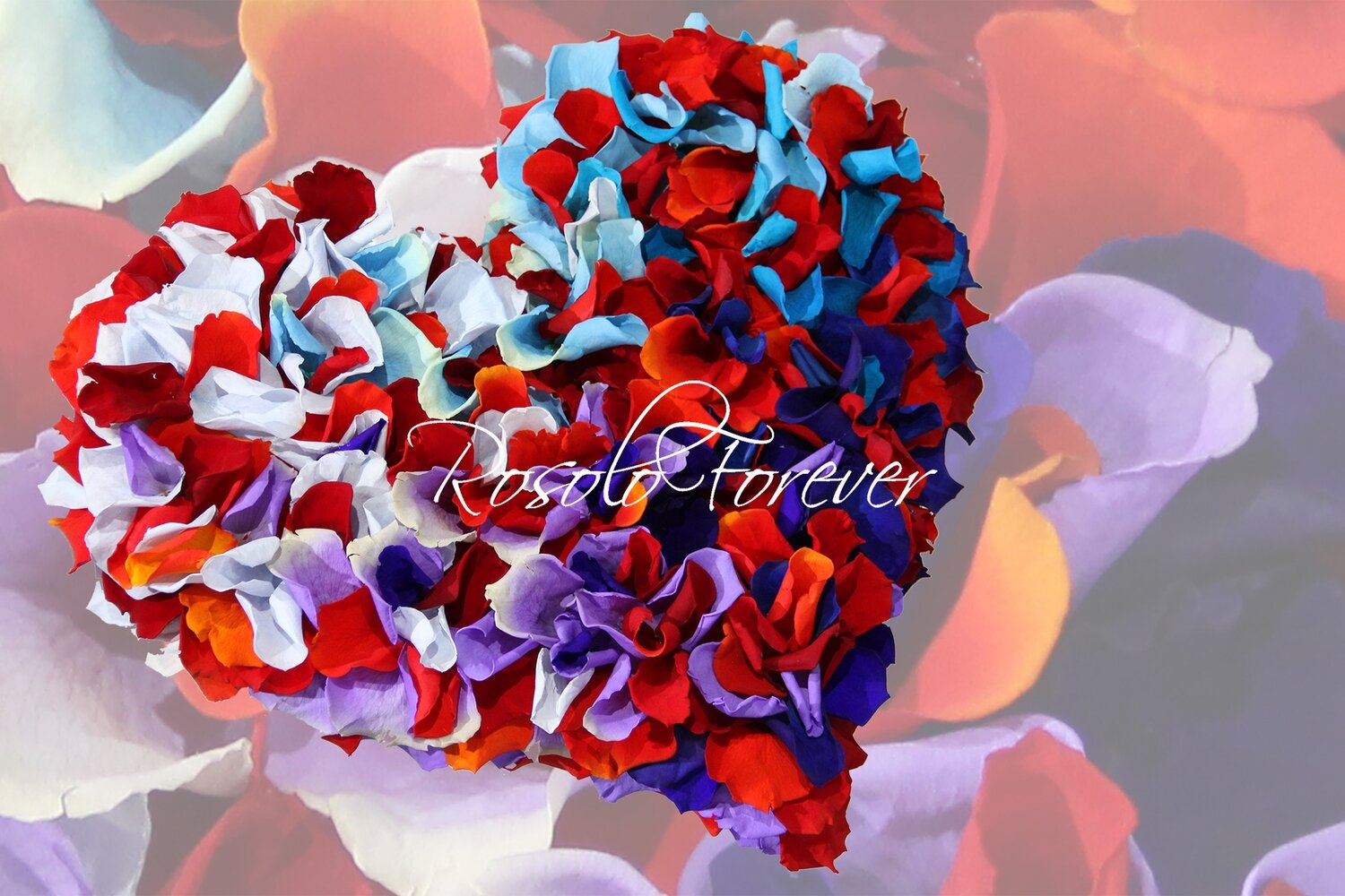 Beau cœur composé de centaines de pétales de roses