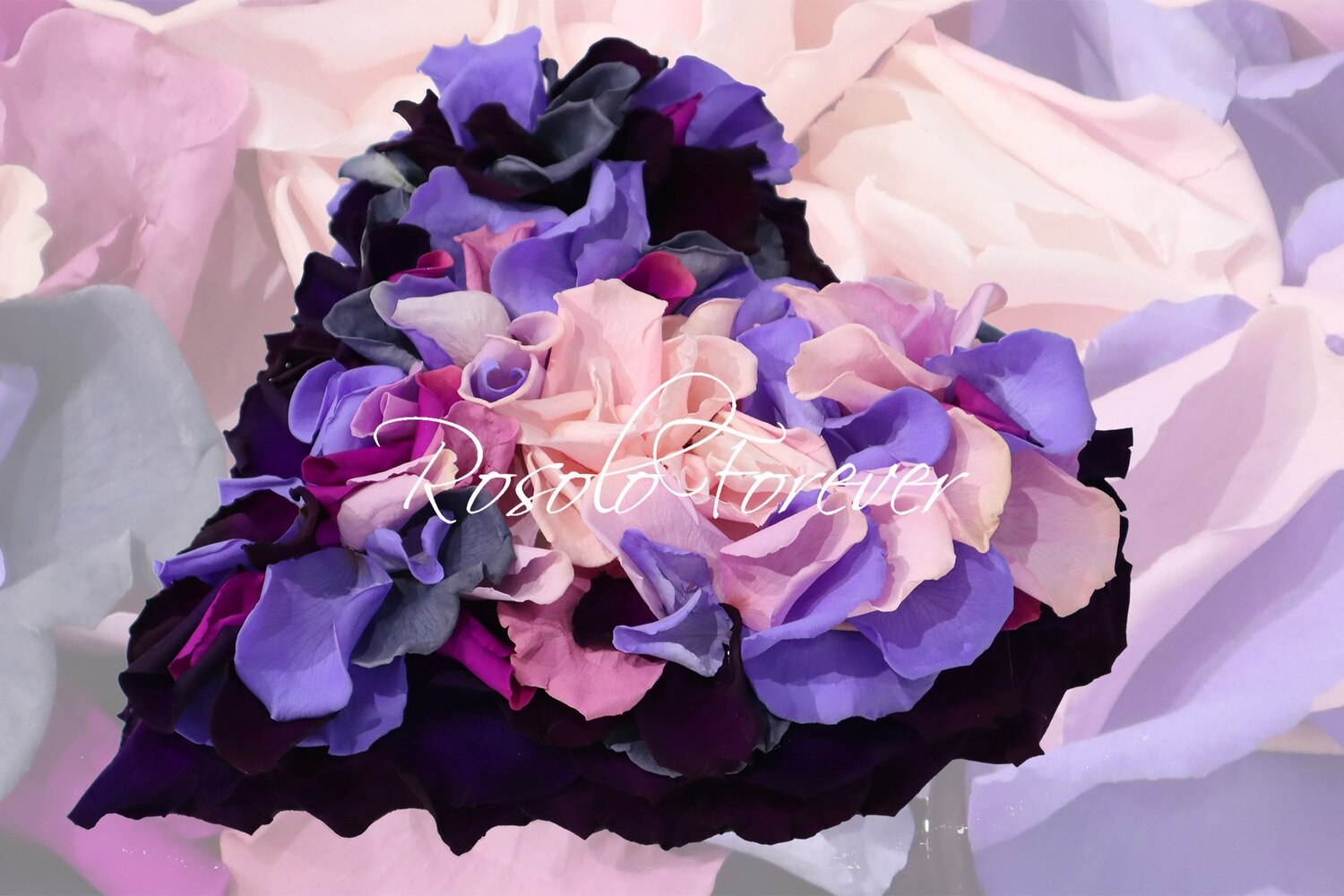 Beau cœur composé de centaines de pétales de roses