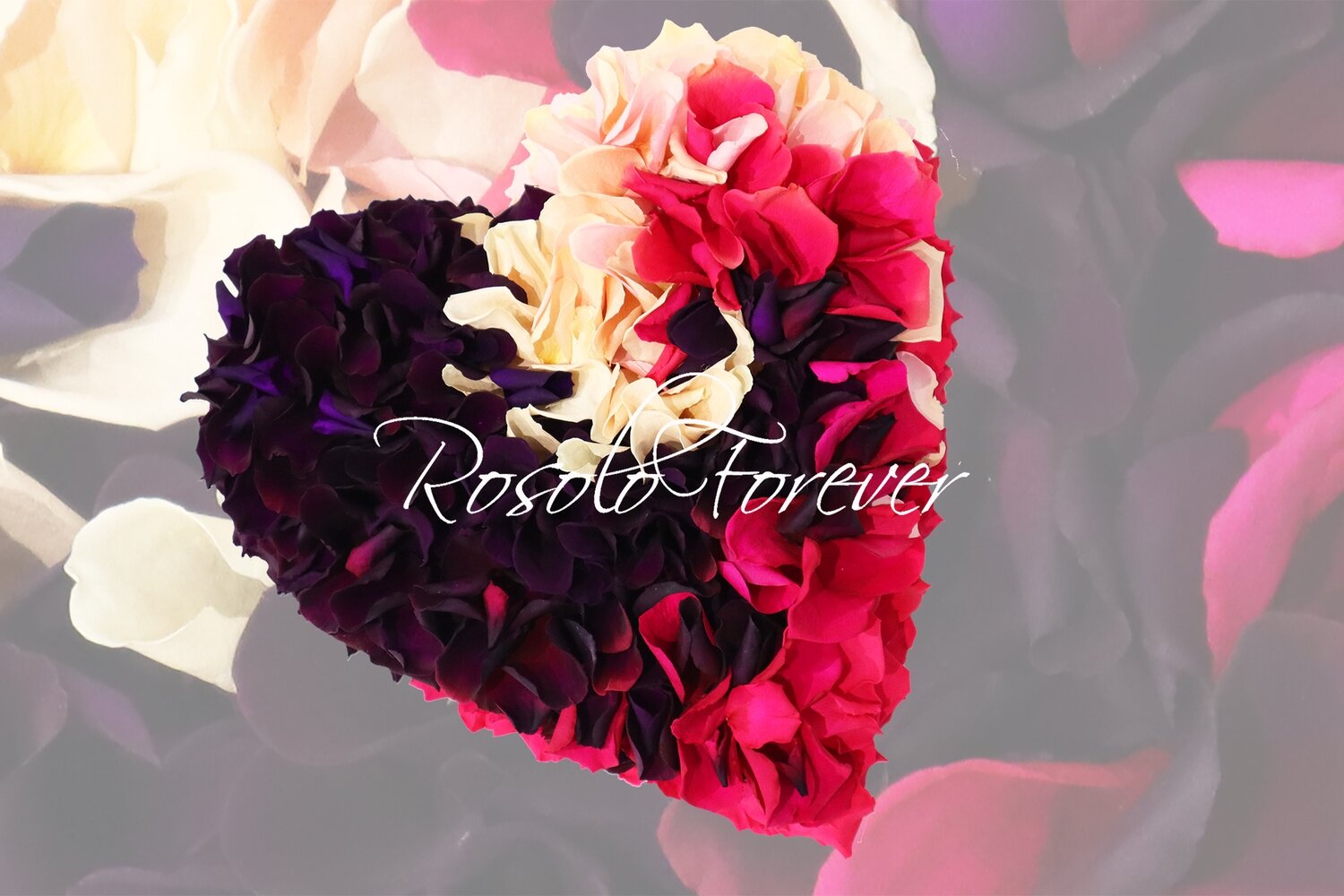 Beau cœur composé de centaines de pétales de roses