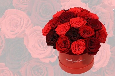 Boites de roses romantiques