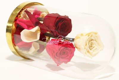 Cloches roses triple