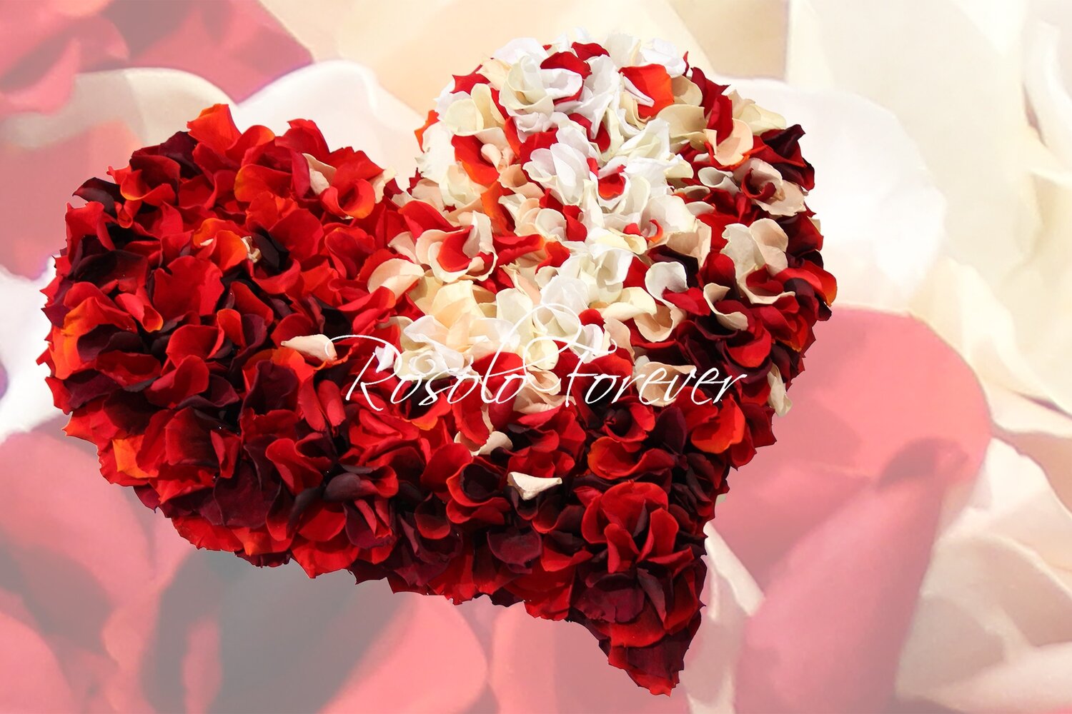 Beau cœur composé de centaines de pétales de roses